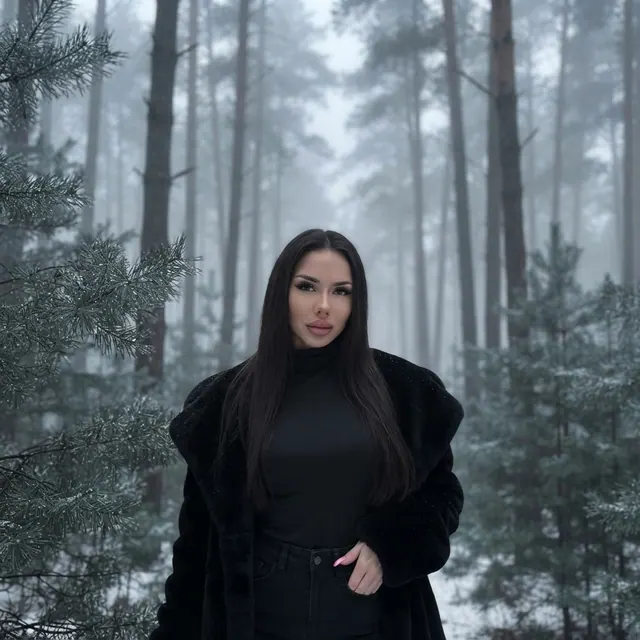 Foggy pines